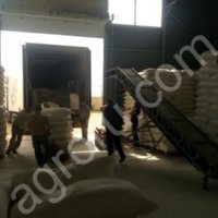 Мука пшеничная