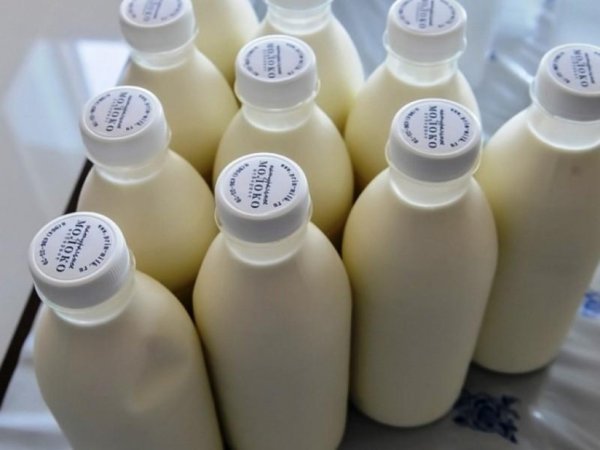 Краткий обзор рынка молока