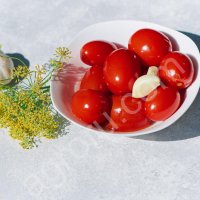 Томаты красные и зеленые слабосоленые