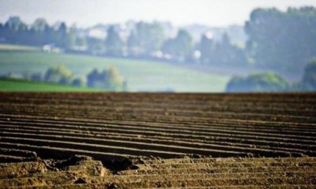 Путин озадачил аграриев