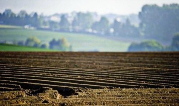 Путин озадачил аграриев