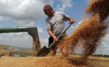 Ход уборки: на 19 августа намолочено 61,4 млн.т зерна