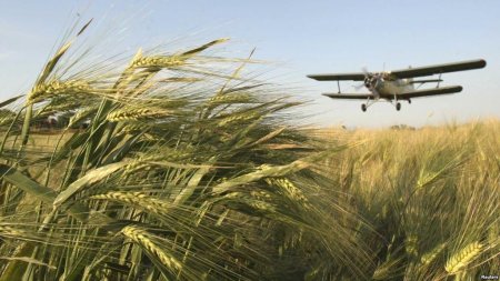 Сельскохозяйственный ренессанс: как устроено российское фермерство