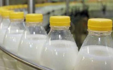 Более 30 тонн молока в Брянске непригодно для продажи