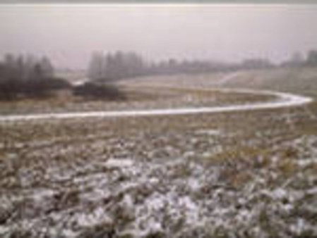 Сильные морозы грозят потерями урожая озимых