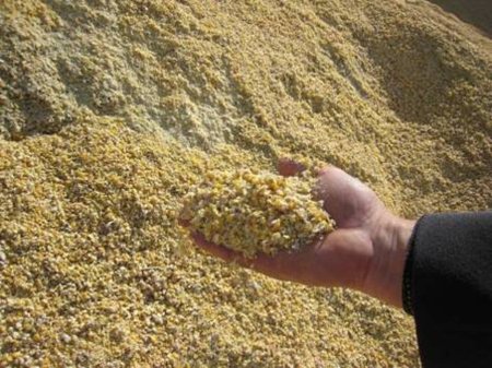 В.Зубков: Экспорт зерна из России достигнет 30 млн тонн.