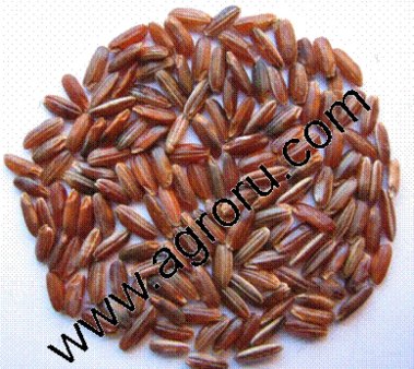 Рис шелушеный красный