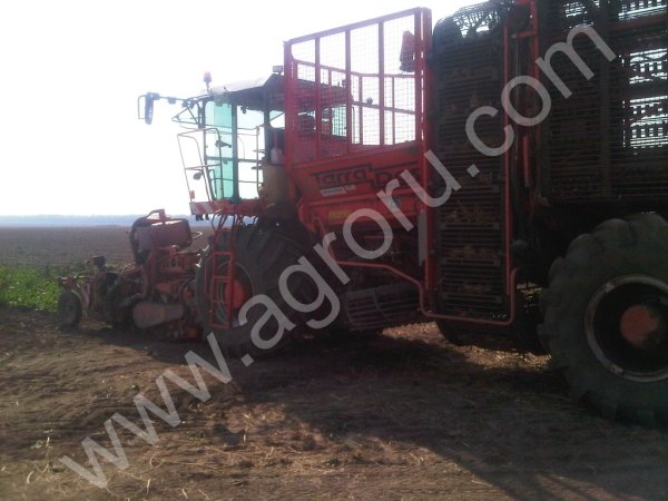 два свеклоуборочных комбайна Holmer TerraDos2