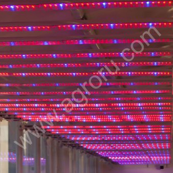 Светодиодные светильники СВП. IP67