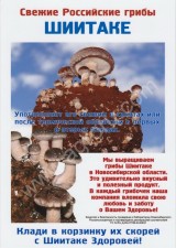 Шиитаке свежие грибы
