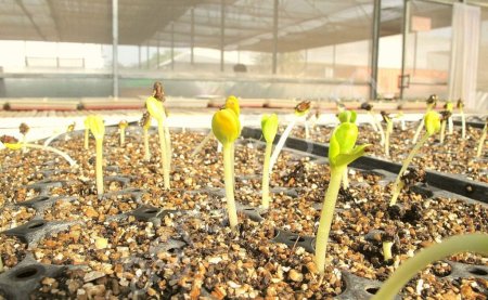 Вермикулит-Агро-Био-Эко