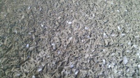 жмых подсолнечный, соевый, рапсовый от производителя