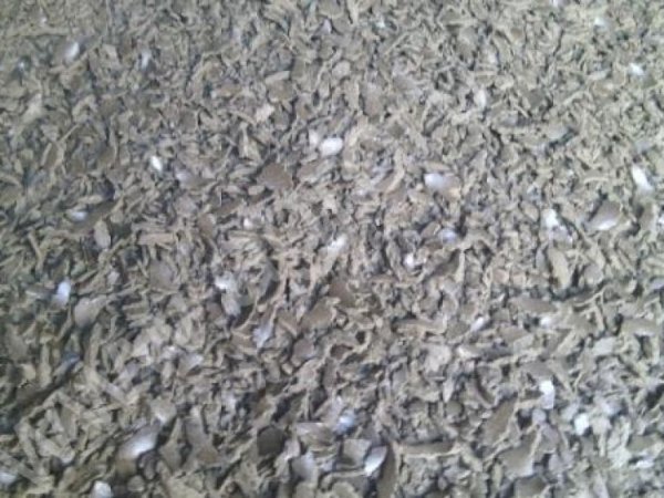 жмых подсолнечный, соевый, рапсовый от производителя