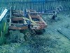 Борона БДТ ромашка ( садовая )