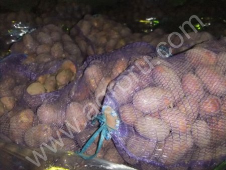 Картофель оптом от 4 тонн