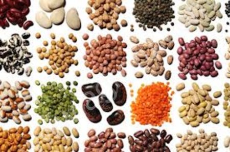 Зерно, зернобобовые культуры.