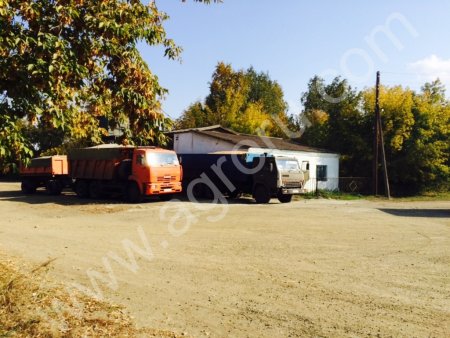 Элеватор (ХПП)