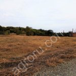 Фермерское хозяйство