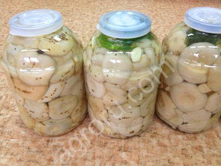 грузди соленые