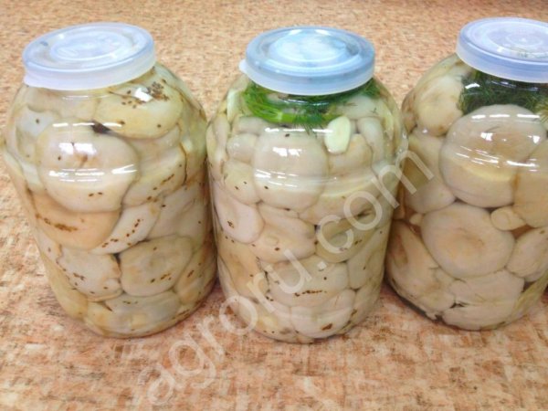 грузди соленые