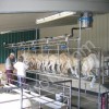 Доильные установки любых типов, и комплектаций Прочее доильное оборудование с монтажом под ключ!!!