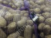 картофеля оптом