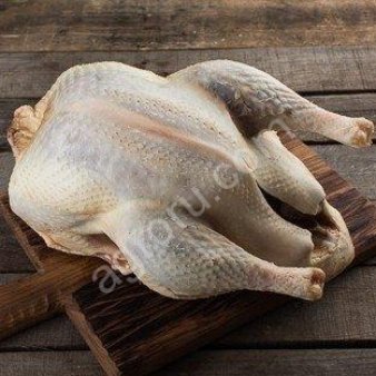 мясо индюшки.