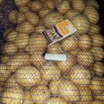 Картофель мытый