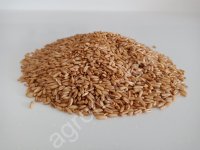 Крупа овсяная недробленная