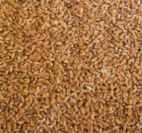 Комбикорма