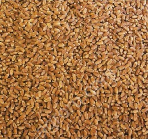 Комбикорма