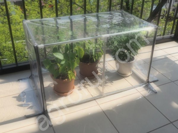 Sezam L — мини теплица для дома