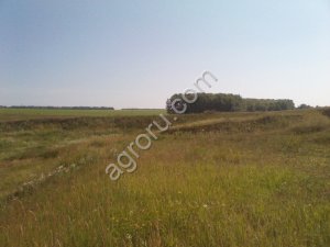 Земельный участок 27 Га (собственность)