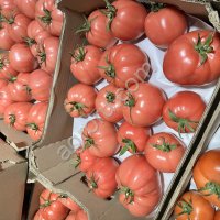 Без посредников примой производитель