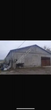 Земля 50 гектар