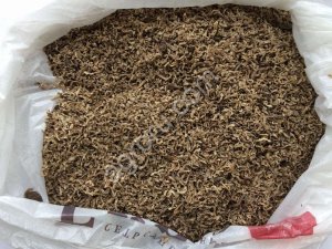 Жом свекловичный (стружка) насыпью