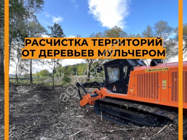 Гусеничный мульчер, расчистка от деревьев