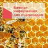 Ищем пчел для опыления подсолнечника