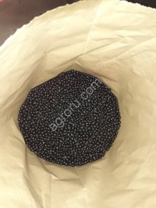 Черника, Карелия