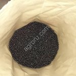 Черника, Карелия