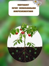 ГЛАУКОНИТ ЭКО
