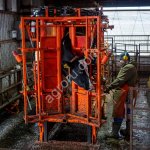 Станки для обработки копыт