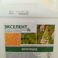 Экселент
