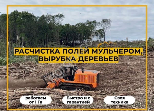 Расчистка участка мульчером от 1 Га, спил деревьев