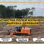 Расчистка участка мульчером от 1 Га, спил деревьев