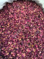 Лепестки роз