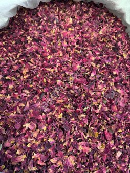 Лепестки роз