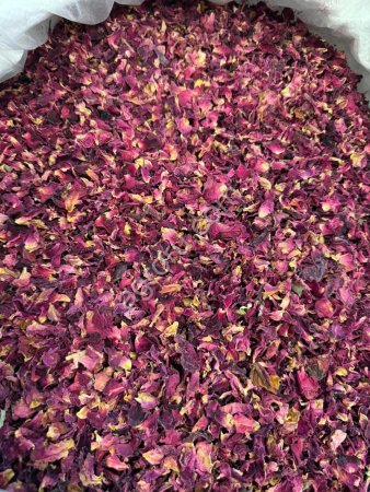 Лепестки роз