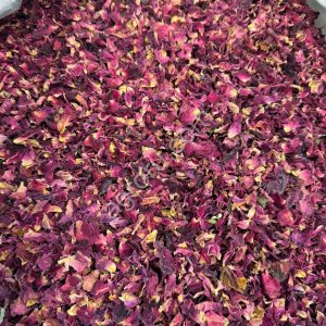 Лепестки роз