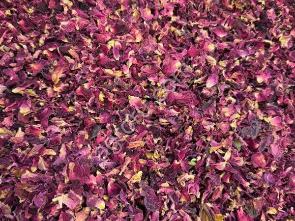 Лепестки роз